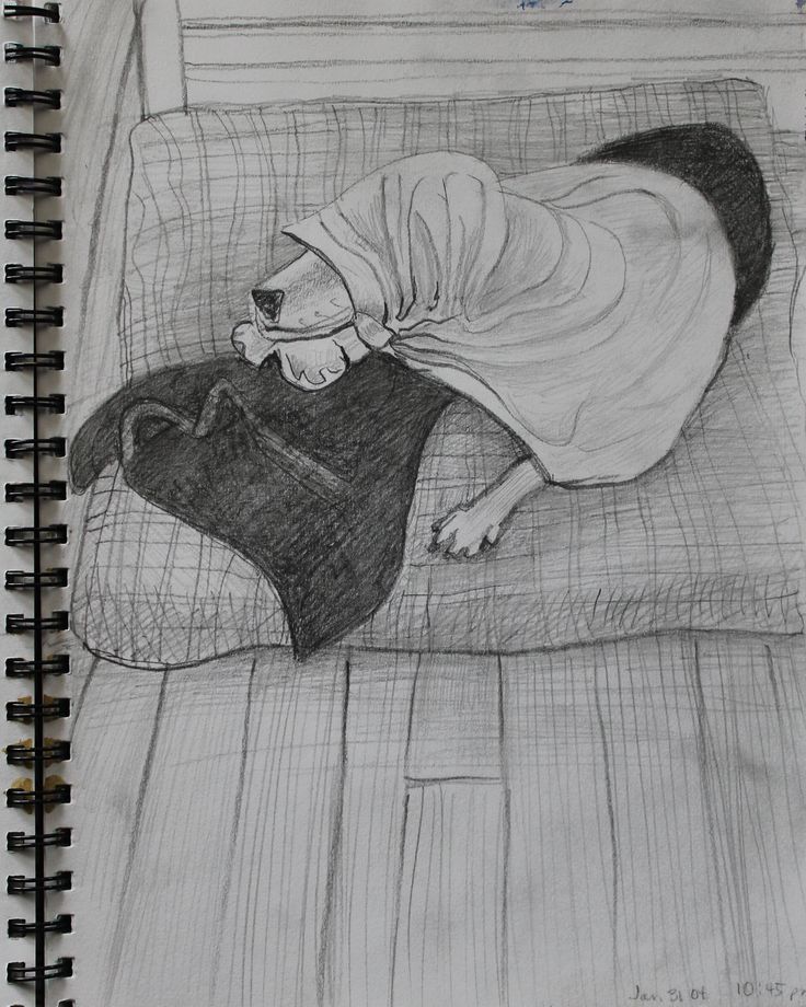 Lucy wrapped up
