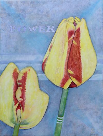 tulips-power