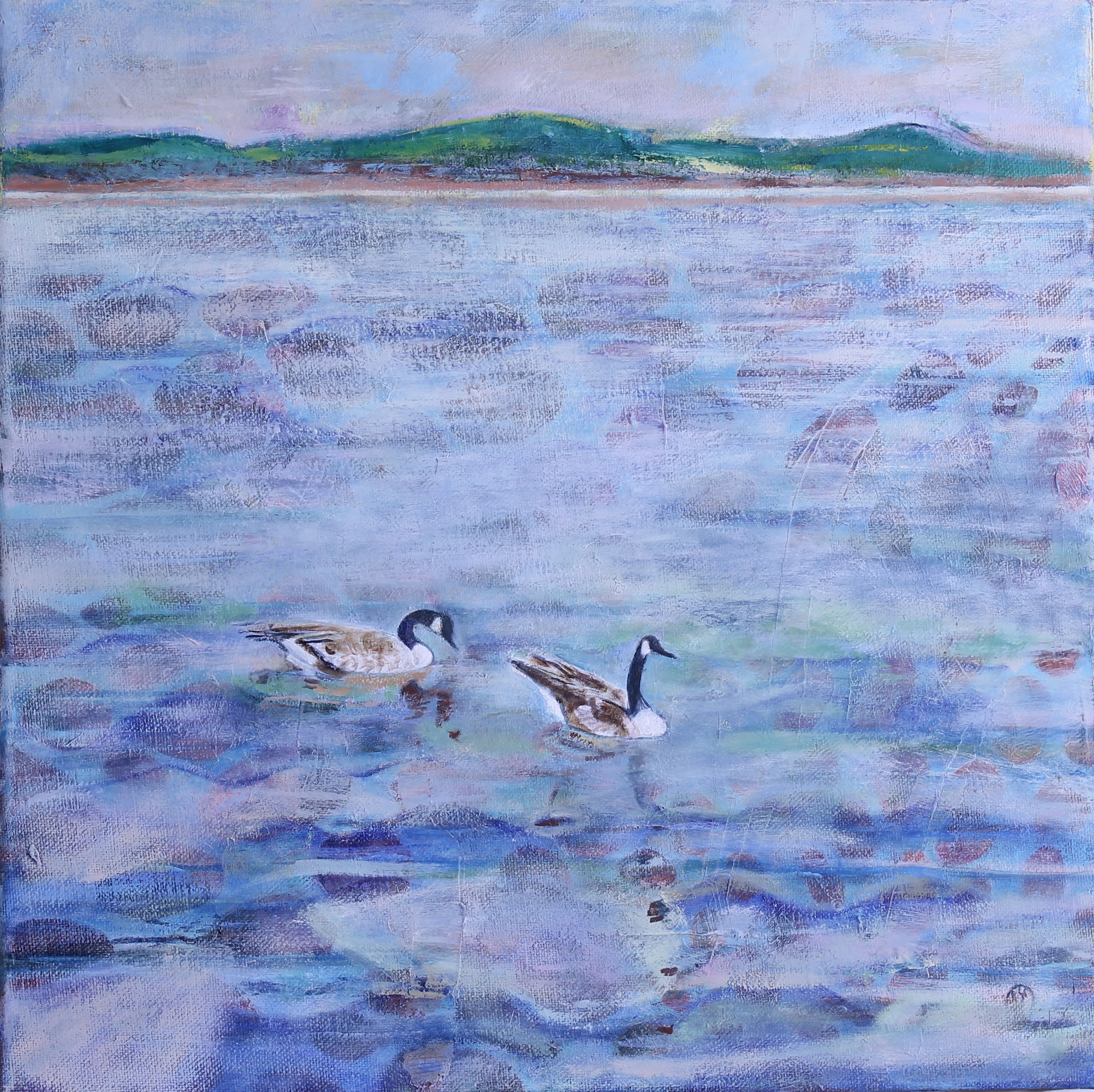 Two-Ducks-on-Lake-Ontario
