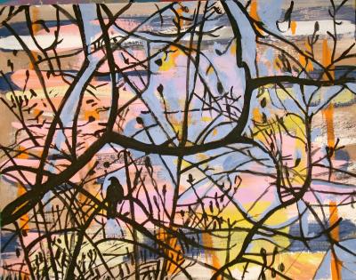 Crow in Magnolia Trees